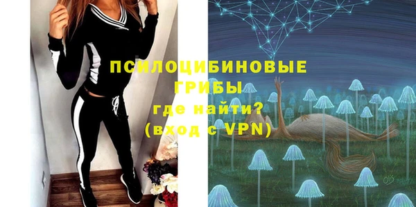 крисы Алексеевка