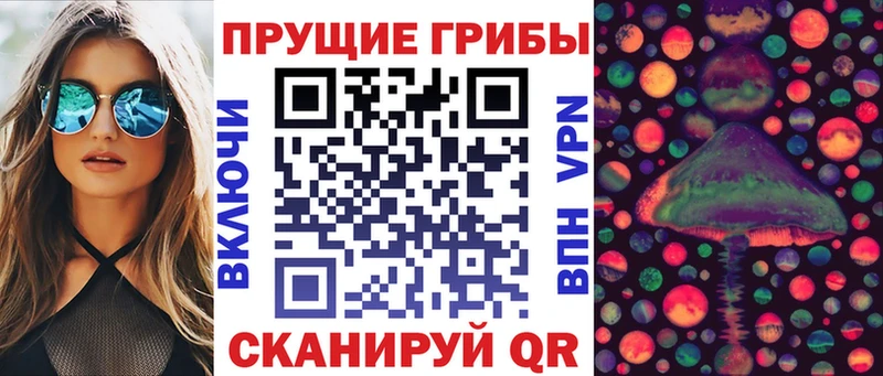Псилоцибиновые грибы прущие грибы  Ступино 